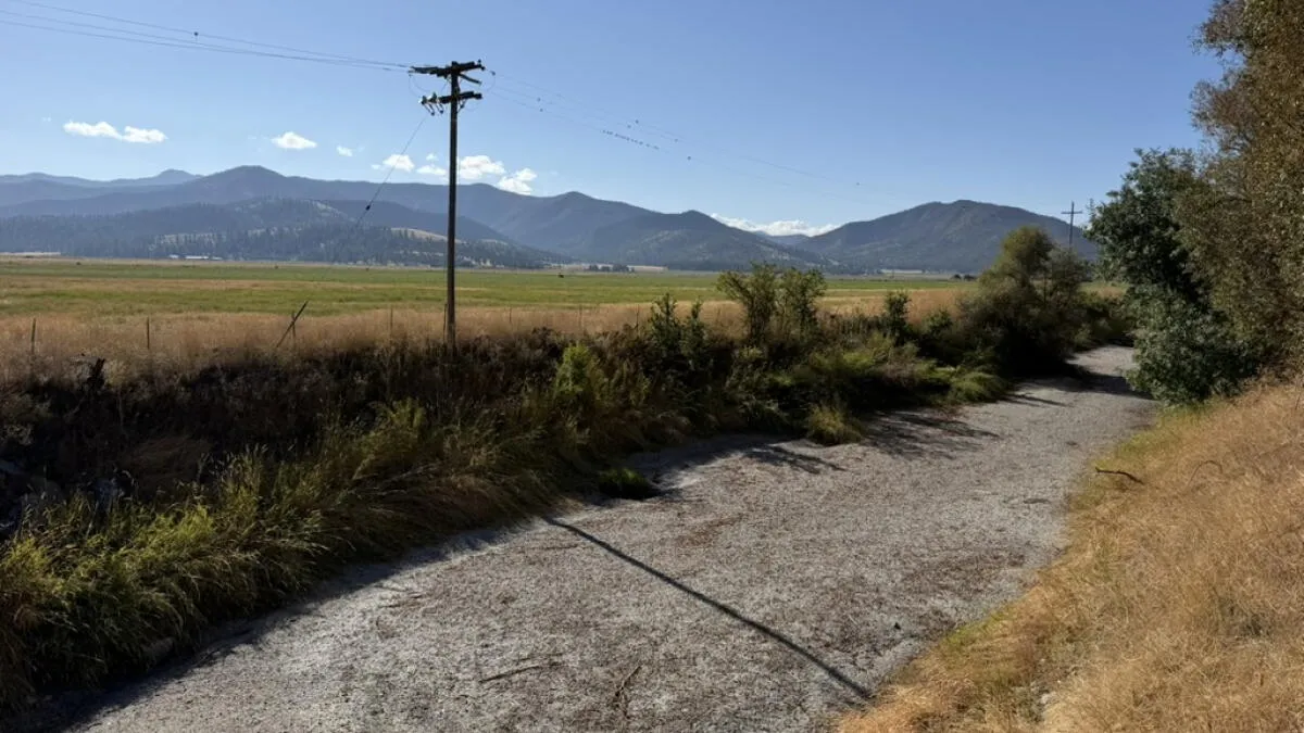 California River Dries Up, Sparking Salmon Habitat Debate