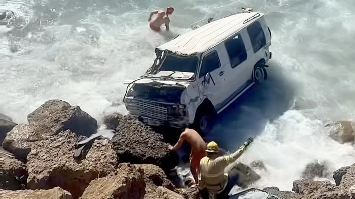 Dogs Rescued After Vehicle Plunges into Pacific Near Malibu