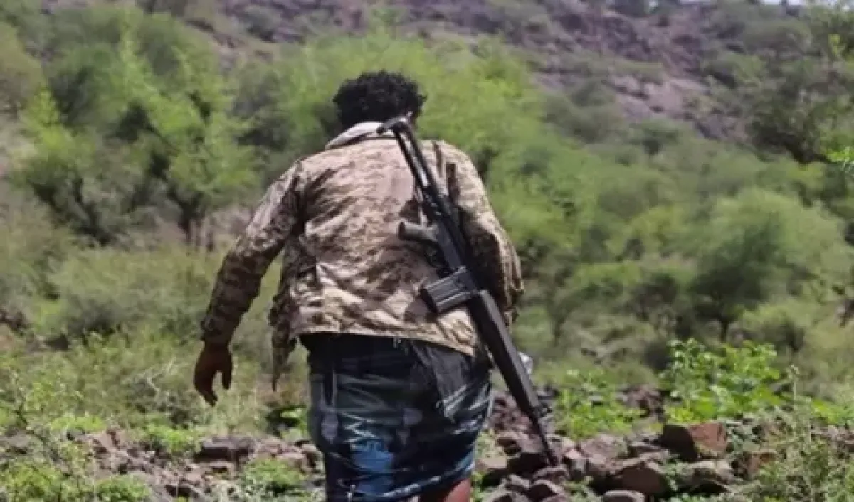 Hujariyah Fronts Bleed Amid Fierce Houthi Offensive