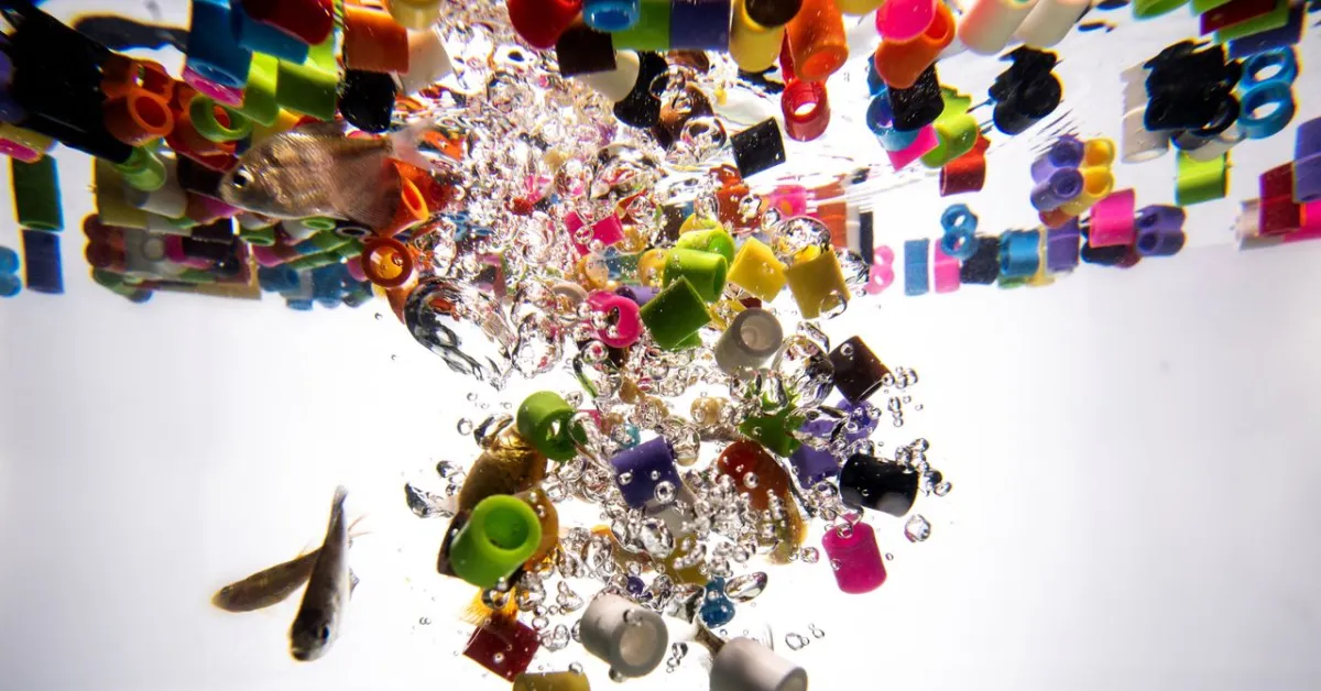Microplastics React With Water, Posing Biological Threat