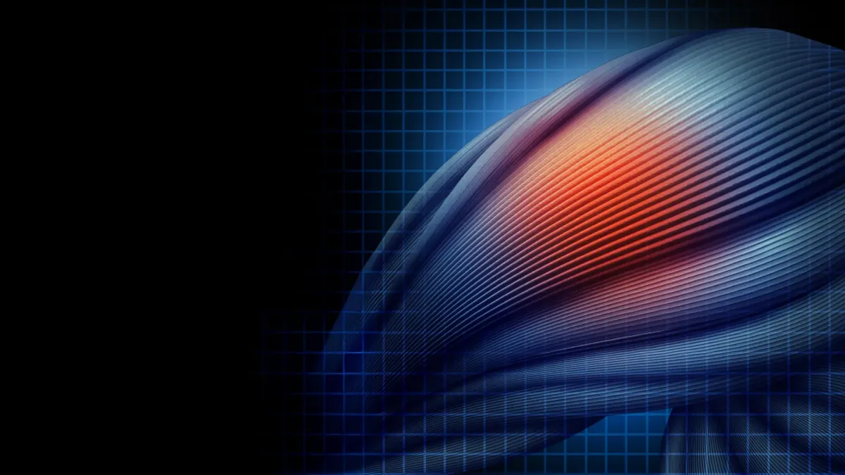Statins and Muscle Pain: Scientists Crack the Molecular Code