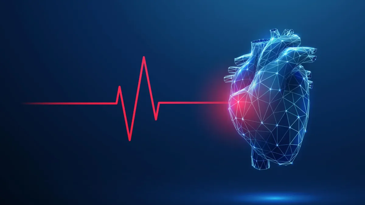 Exercise Rewires Heart Nerves, Revealing Left-Right Asymmetry