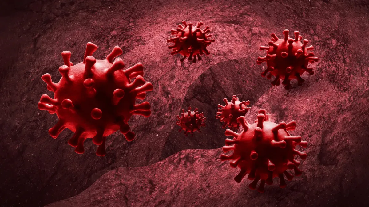 Anti-Inflammatory Drugs May Boost Virus Spread: Study