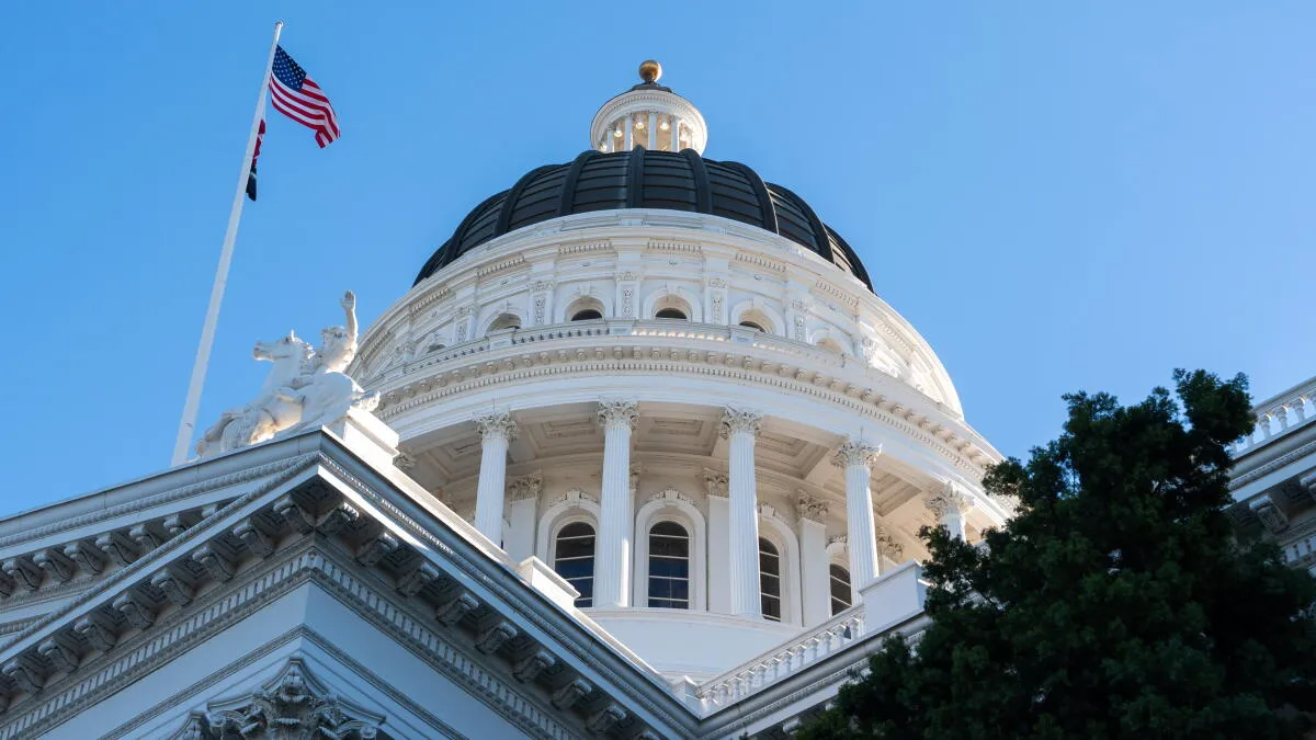 California's Crucial Down-Ballot Races: A Voter's Guide